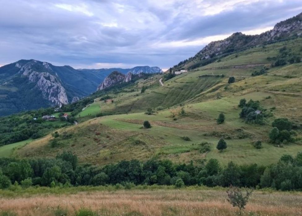 Teren de vânzare