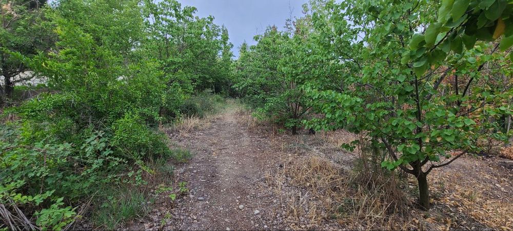 DACHA sotiladi suv Elektor bor