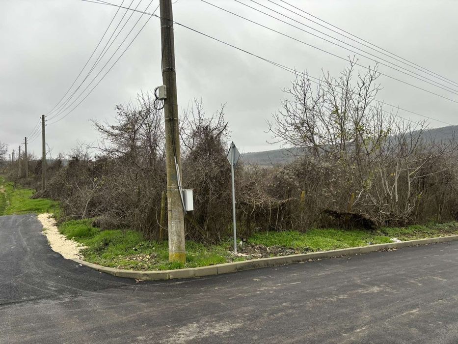 Дворно място с. Славейково