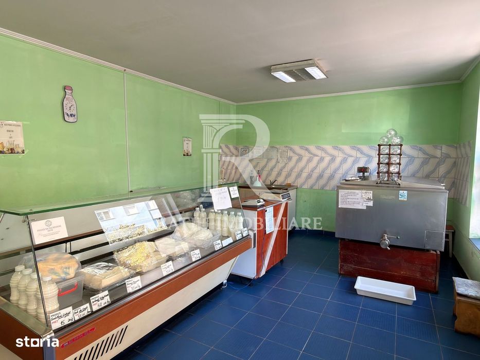 Casă cu spațiu comercial la stradă, curte și grădină | Oradea