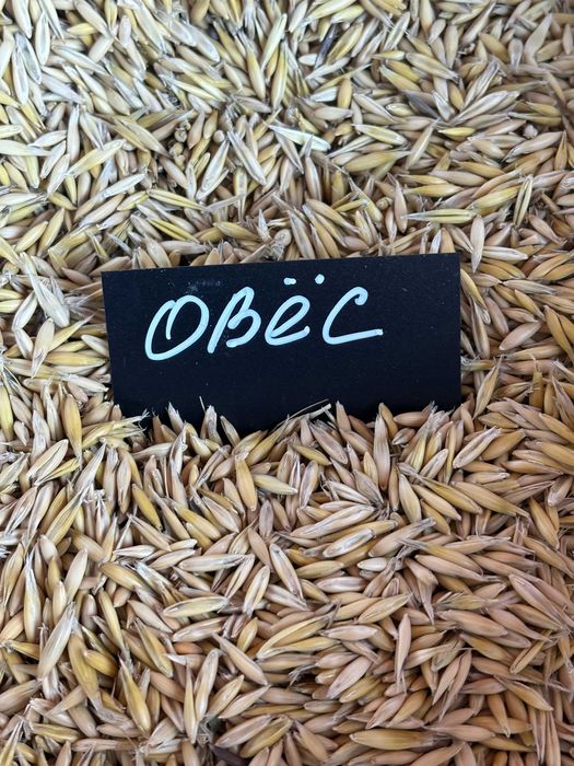 Продам отруби пшеничные мешками недорого