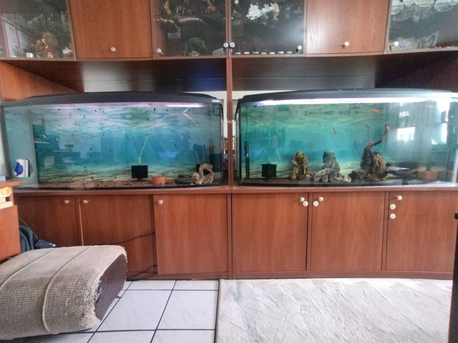 Комплект аквариуми