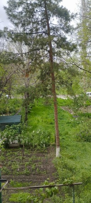 Продаётся своя квартира с техникой и мебелью. 2-3х / 2 / 5