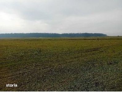Teren extravilan 635 mp Harsesti, ID: R2922302