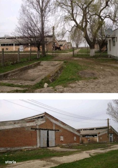 Ferma zootehnica, agro-industrial, 53736 mp teren, Valea Stanciului