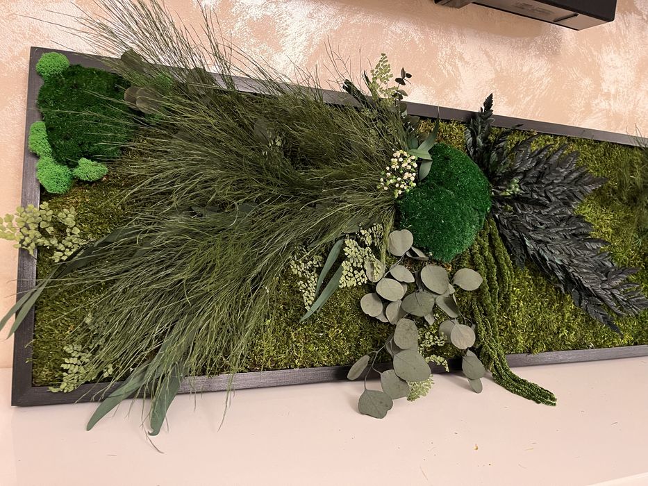 Tablouri cu plante naturale stabilizate,licheni , muschi