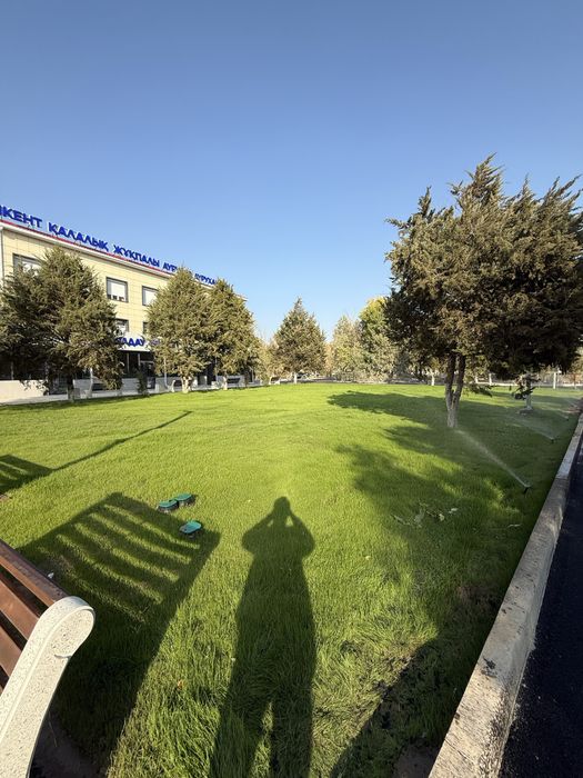 Газон Автополив Дизайн