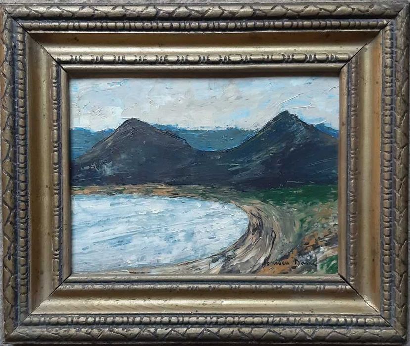 Doru Gheorghe Ionescu, Ulei pe carton, Semnat, Dimensiuni 28 x 33,5 cm