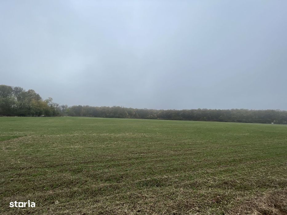 9400 mp | Ideal pentru investitie | Tunari | Deschidere la padure