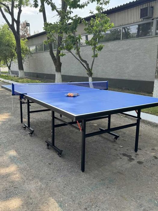 Пинг понг, настольный теннис