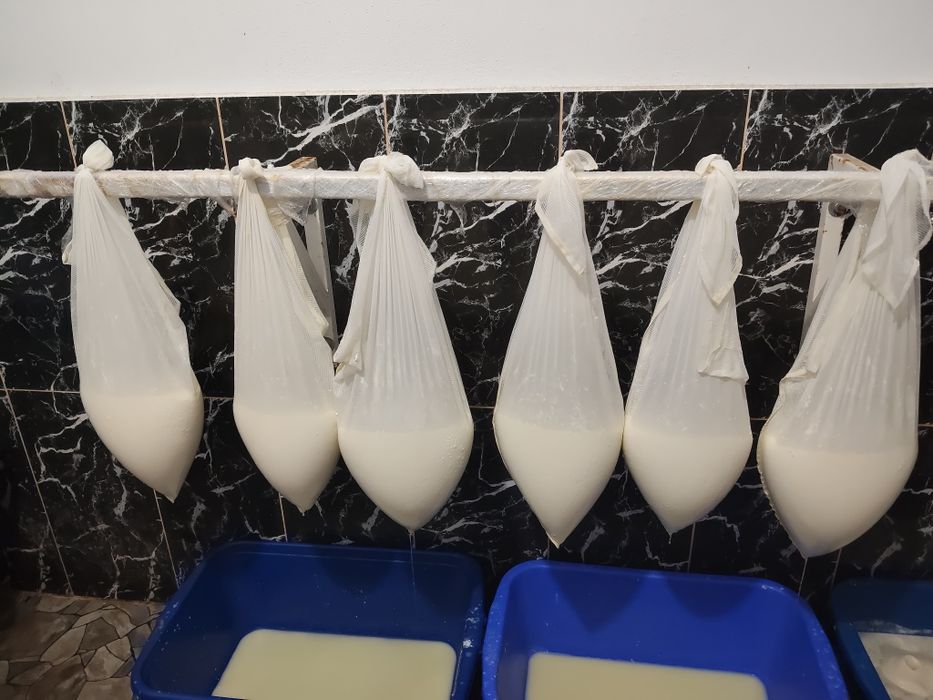 Telemea de oaie și capra disponibil 25de lei cantități mari  preț fix