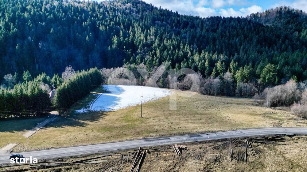 Teren extravilan 19.200 mp – DN1A Sacele, Bradet | Front stradal 130
