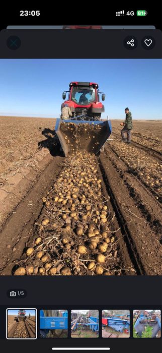 Семена картофелья Галла