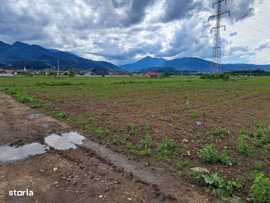 Teren extravilan locatie excelenta, proprietar, multiple posibilitati