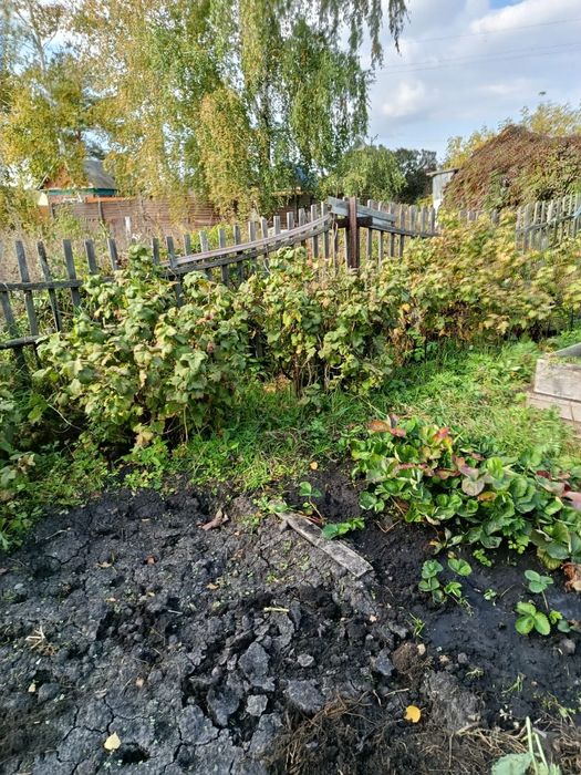 Продам дачу в с/о "эврика"