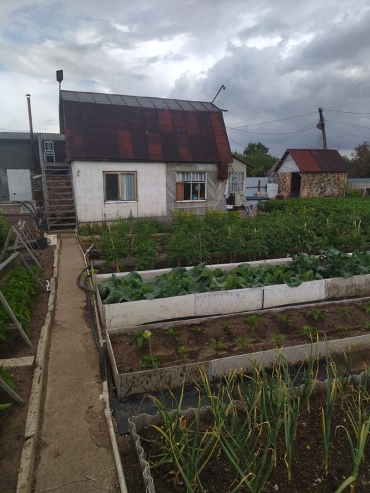 Дача в обществе Ромашка