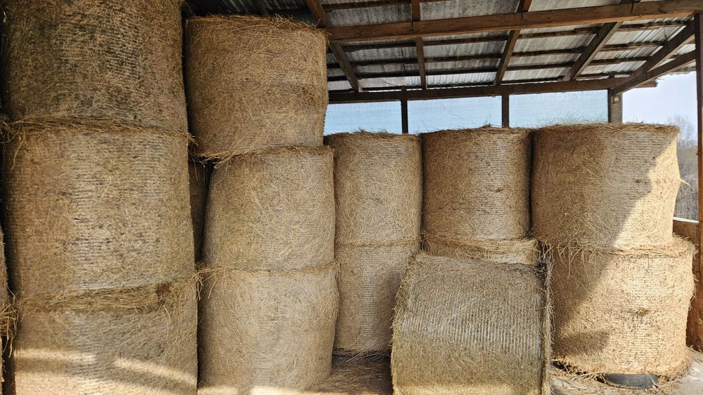 Baloți rotunzi  lucerna