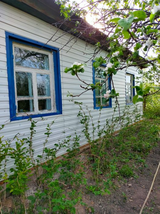 Продам дом  в  п .Катарколь