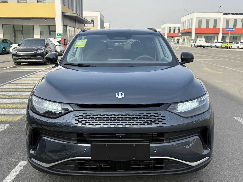 Leapmotor C11 Hybrid 200km, pod zakaz