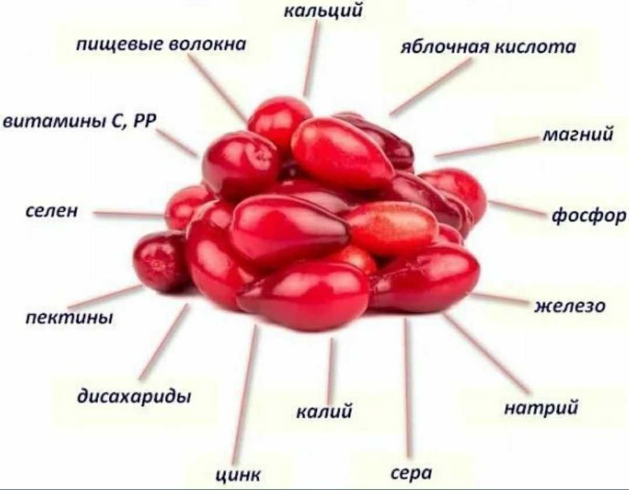 Кизил замороженные ягоды