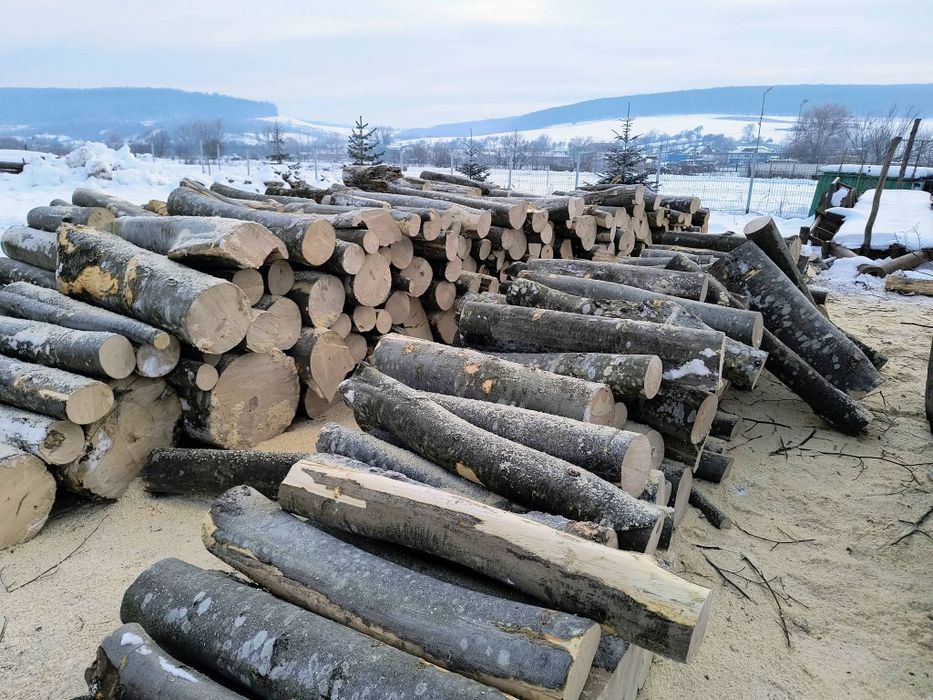 Lemne de foc esenta tare