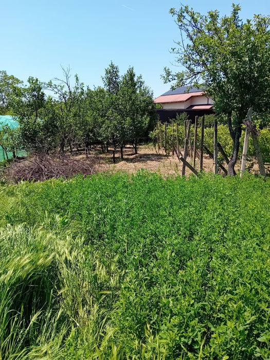 Teren intravilan 800m2 in Valea Calugareasca