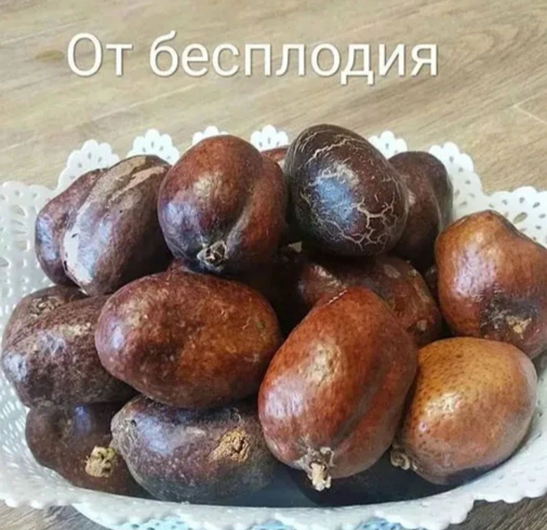 Орех (плод) от бесплодия Мохилхин, 1 шт