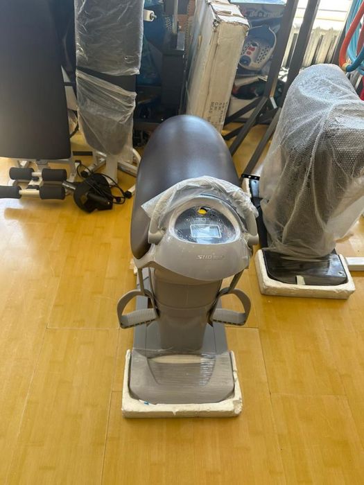 Лошадь наездник Horse