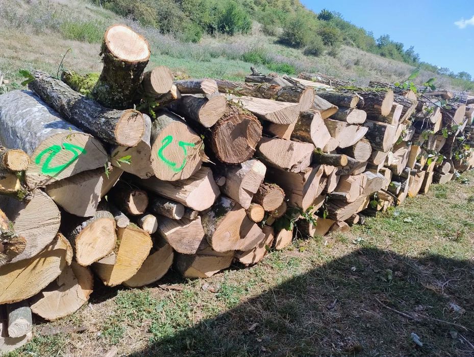 Vand lemne de foc esenta tare
