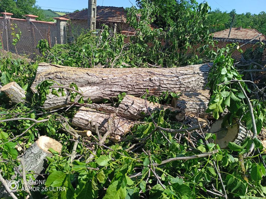 Дървен материал от орех