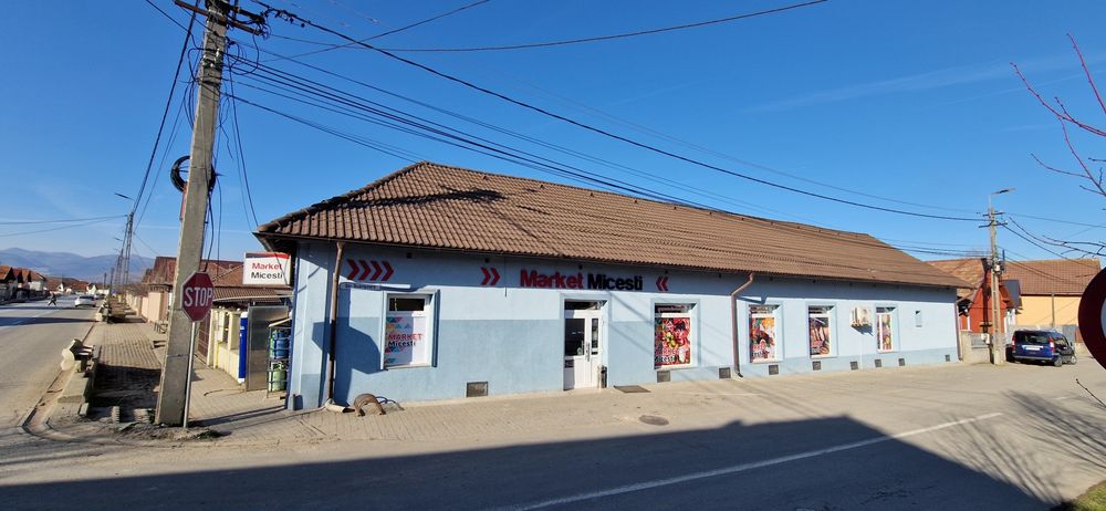 Vand Casa Spatiu Comercial cu crama