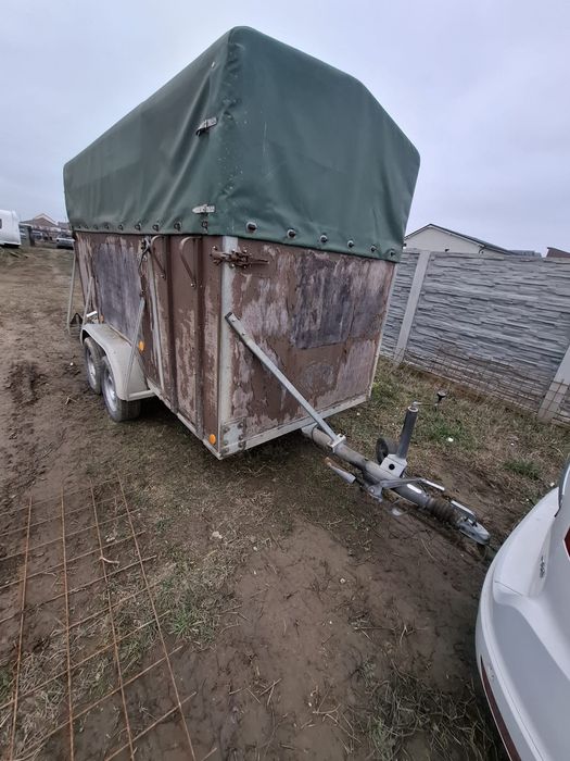 Remorcă transport animale înmatriculată, 2 rampe + ușă laterală