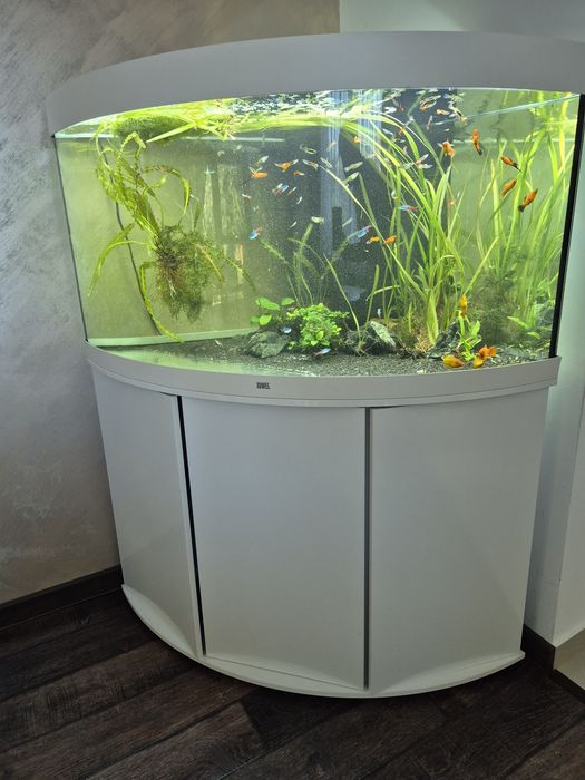 Acvariu pesti exotici juwel trigon led 350 litri