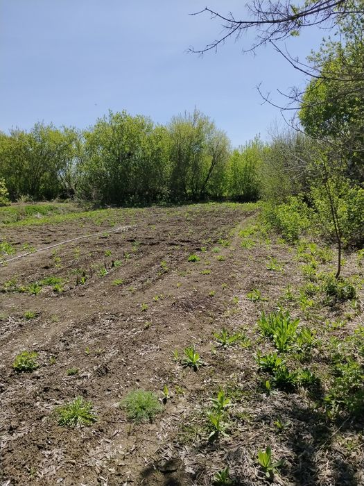 Продам дом под дачу