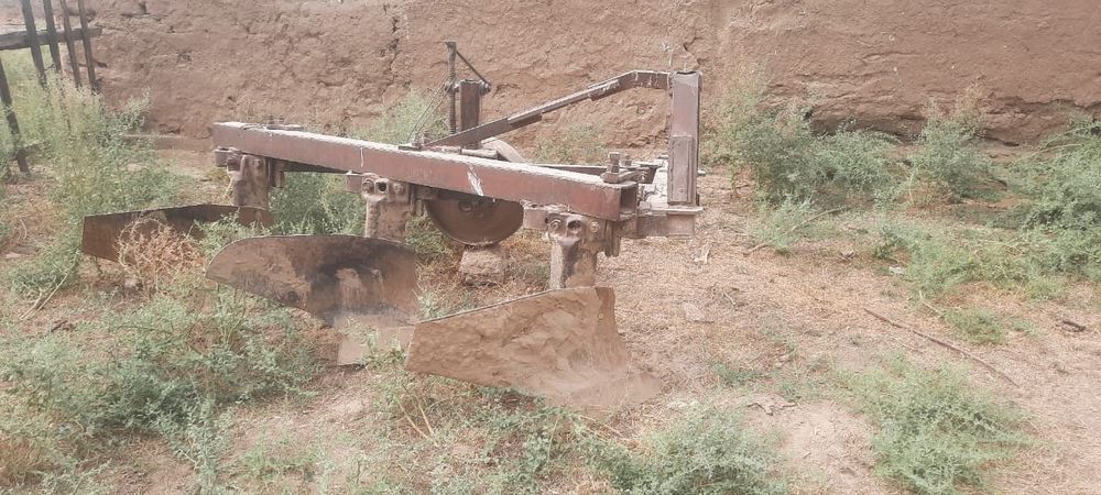 Мадоннамен жыныстық қатынас