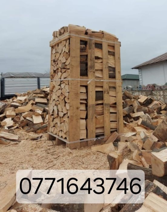 Lemne de foc paletizate fag  la palet
