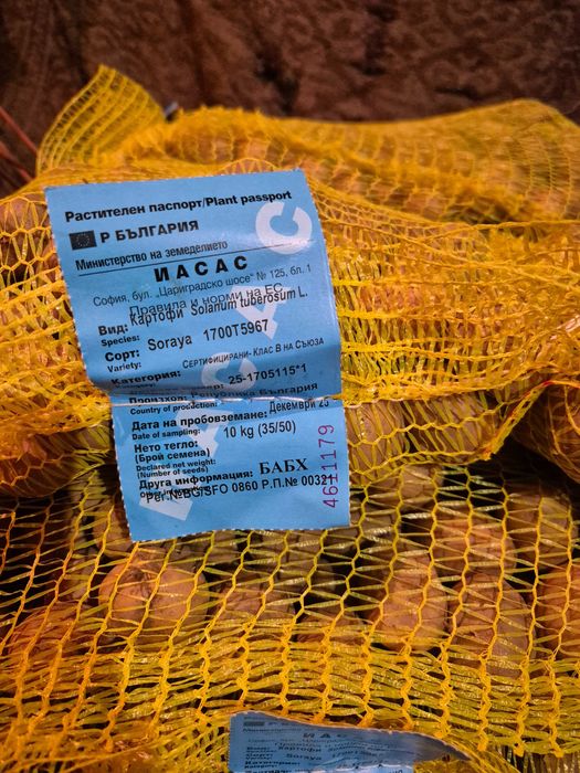 Сертифицирано семе картофи.Агата и Сорая. В чували по 10кг.