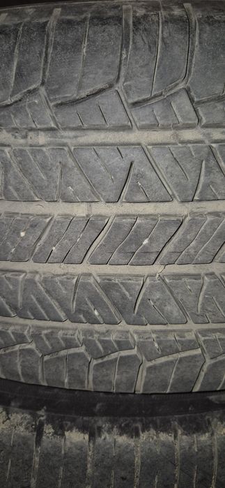 Резина лето. Tigar