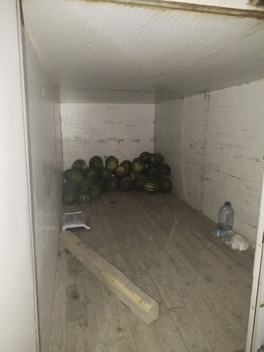 Gazel bort holati yaxwi srocna sotiladi 550$ bervoriladi