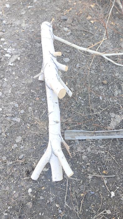 Отдам дрова дерево