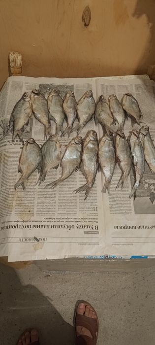 Продам сушеную рыбу