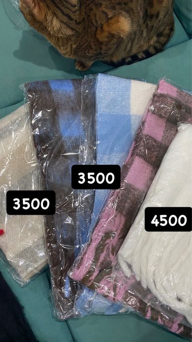 Шарфики в налчии