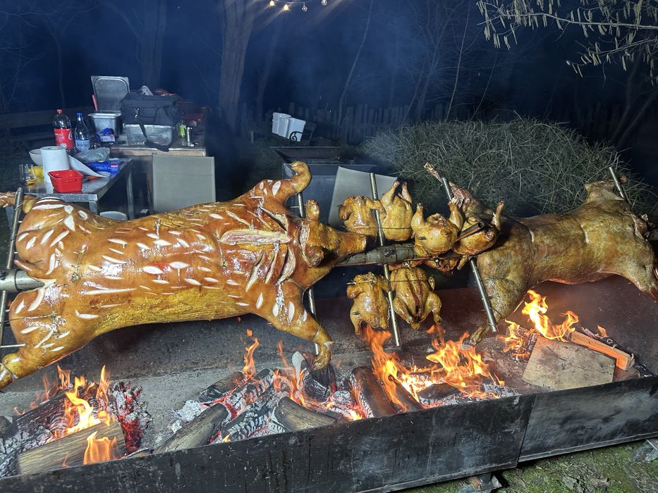 Protap de porc , berbecut, vitel