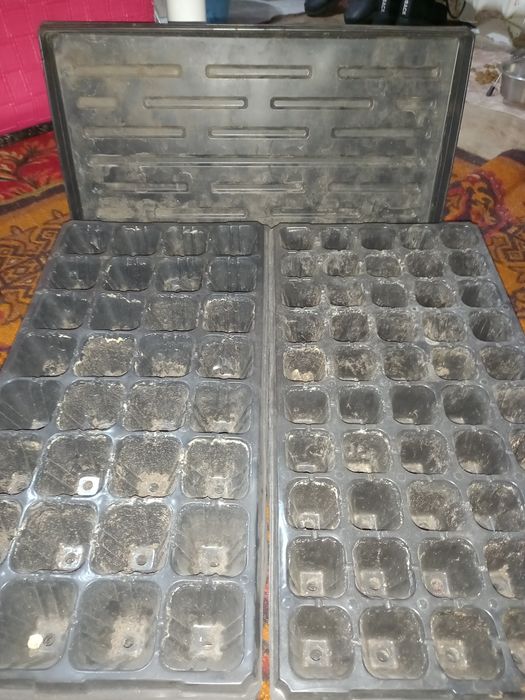 Ячейки для рассады