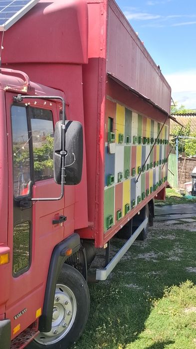 Vand camion apicol
