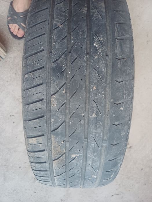 205 .55 р 16 Мотодор