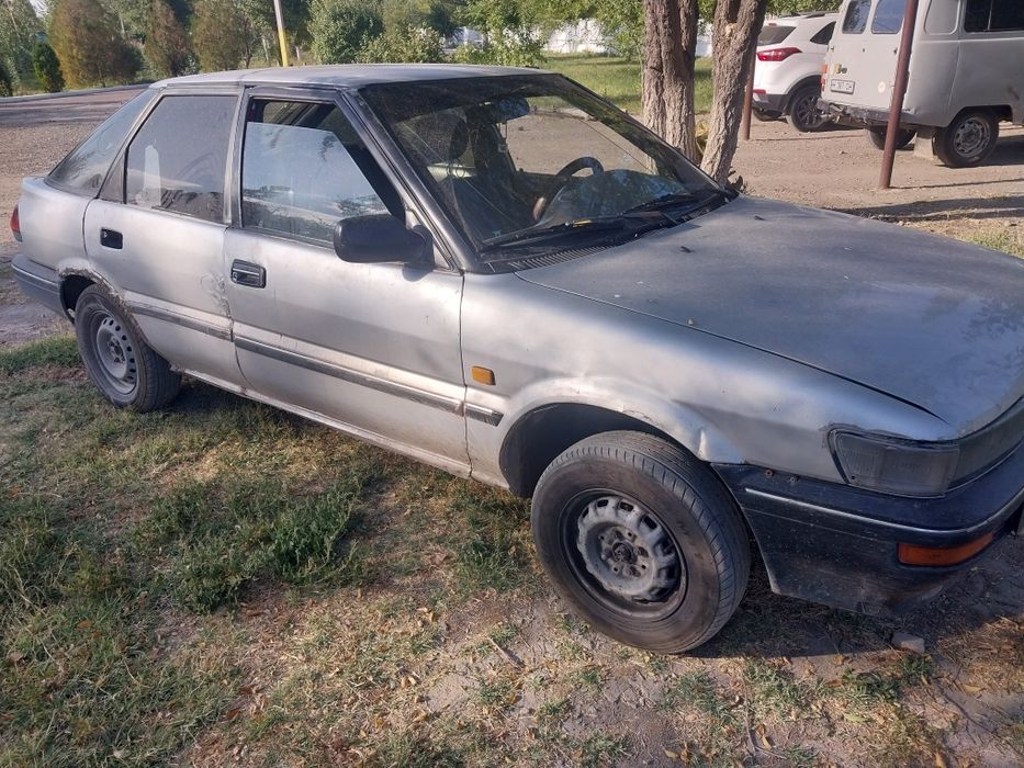 Таета каролла об.1.3