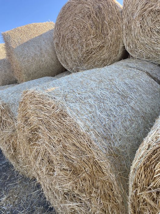 Vand Baloti Paie 150