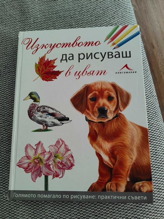 Книги - за художници, готварски и чиклит