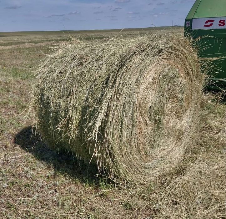 Сено в рулонах РАЗНОТРАВЬЕ.